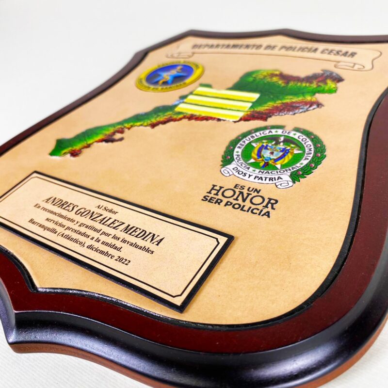 Escudo Básico - Imagen 4