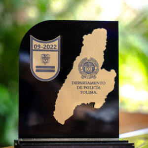 Reconocimiento  5
