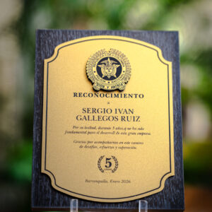 Reconocimiento 12