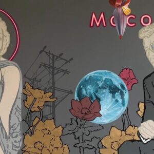 Macondo Social club, 2025